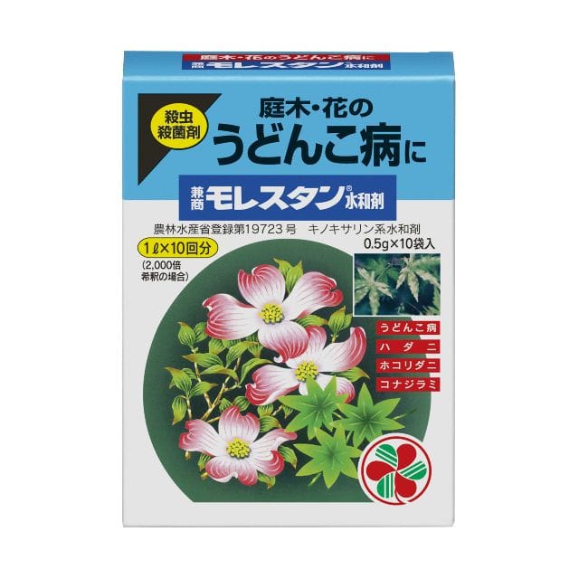 Морестан (0,5 г × 10 пакетов)